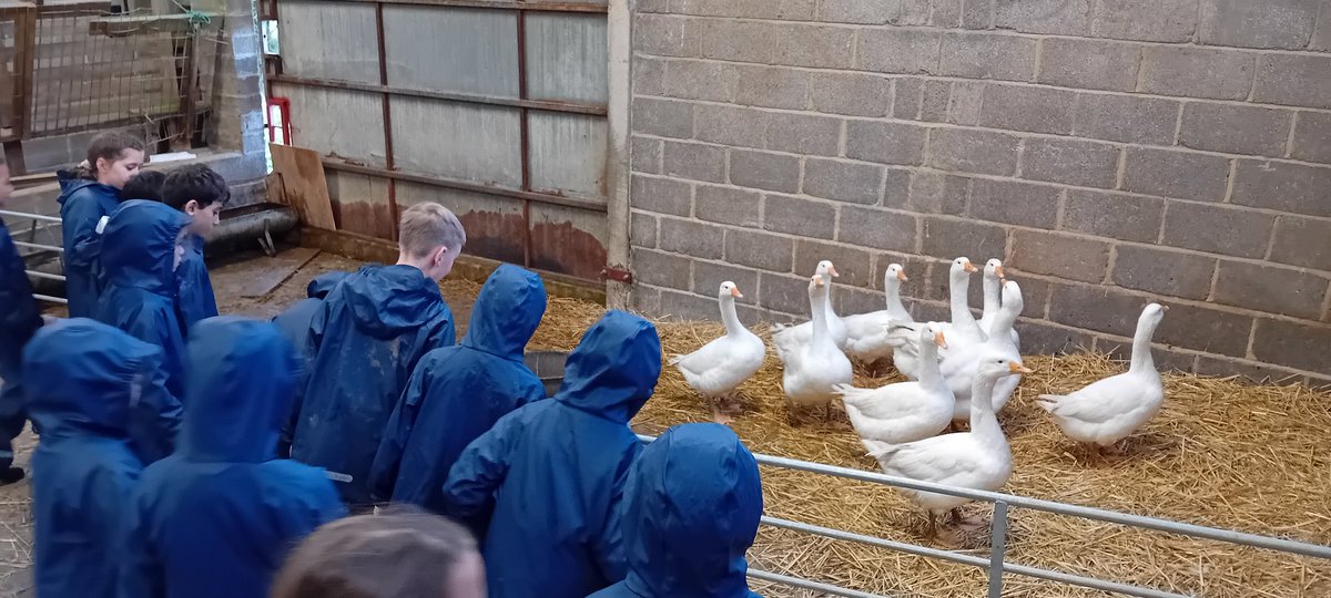 Goodrich School tweet media