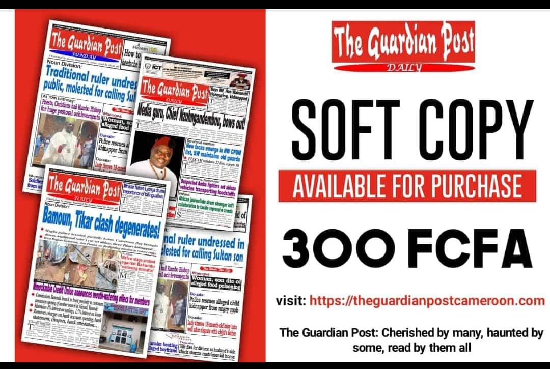 The Guardian Post Daily tweet media
