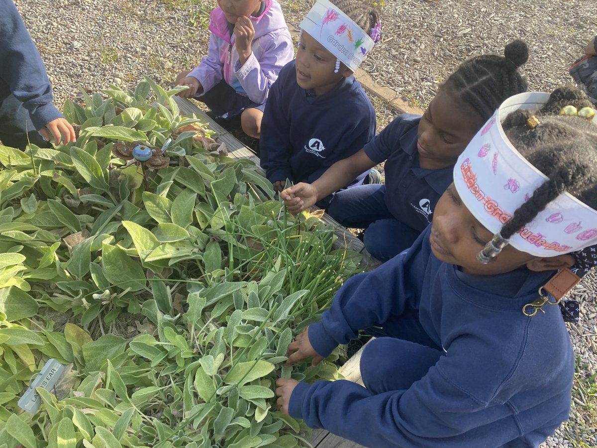 ‘Garden Gratitude Day’ with Kindergarten and Integrated Garden Stations #math ⁦@DrBellGriffin⁩ #literacy #science #community ⁦@SeatackDream⁩ ⁦@vbschools⁩ ⁦@VBGifted⁩ #CommunityGardenSeatack 🌱