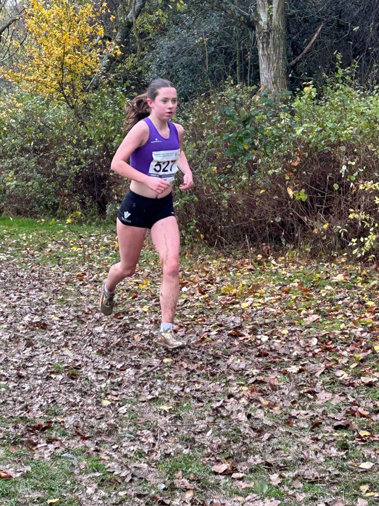 Brecon High School tweet media