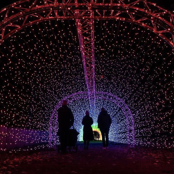 Luminate @sandringham1870 has returned & the spectacle of lights on display is nothing short of amazing! Take a stroll through the illuminated trail set in the enchanted parkland & immerse yourself in the heart of the magic. Visit Luminate’s website to book. 📸 @GPearsonJPEGs