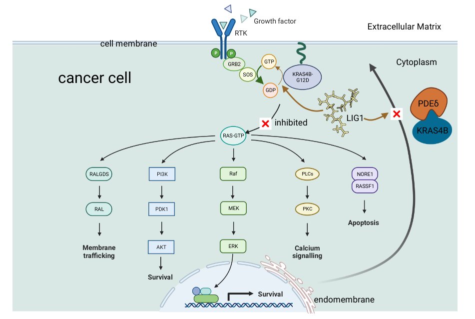 Jordi Faraudo Gener @jfaraudo.bsky.social tweet media