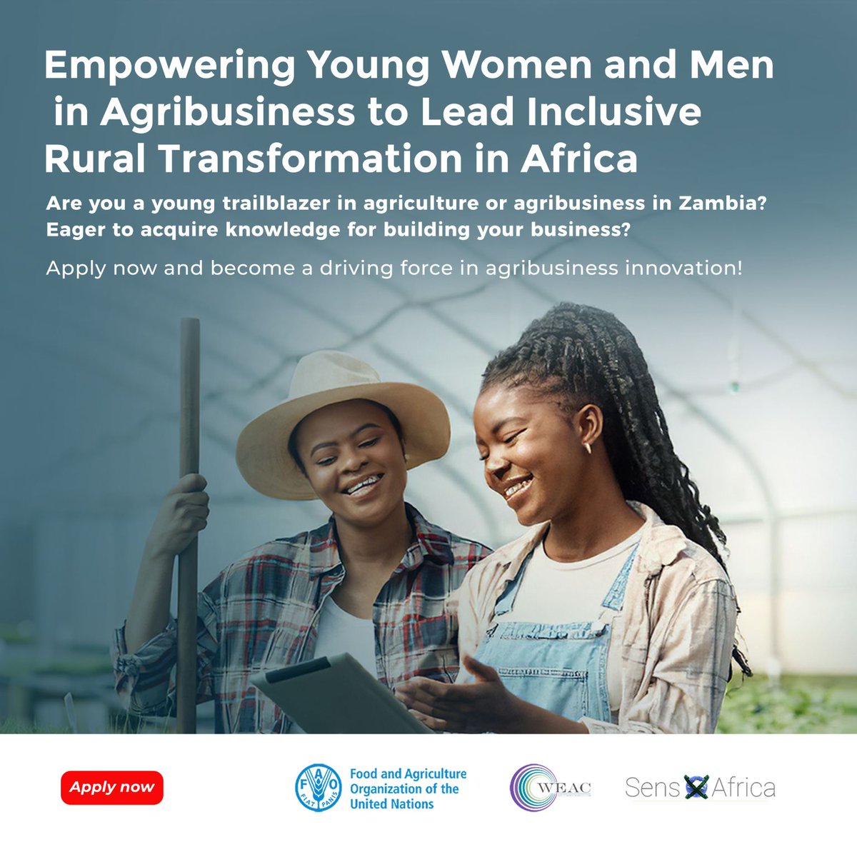 📢 Last chance to apply! 📢

If you're a young #Zambian interested in #agribusiness, the application for the incubation training program ends tomorrow. Don't wait, apply now! 🇿🇲👩🏿‍🌾🌱

👉🏿 shorturl.at/mnFS8