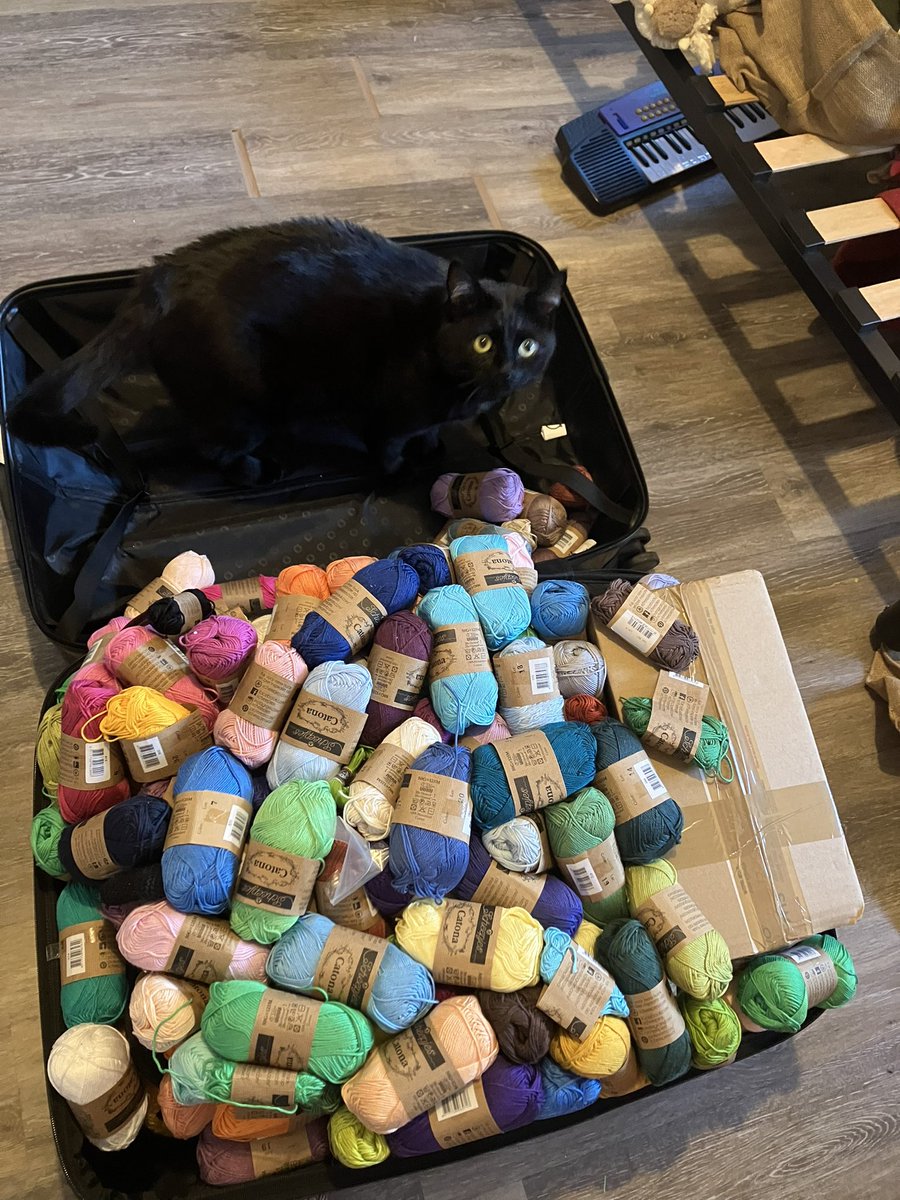 RubisChat's tweet image. Le paradis des chats :P !!