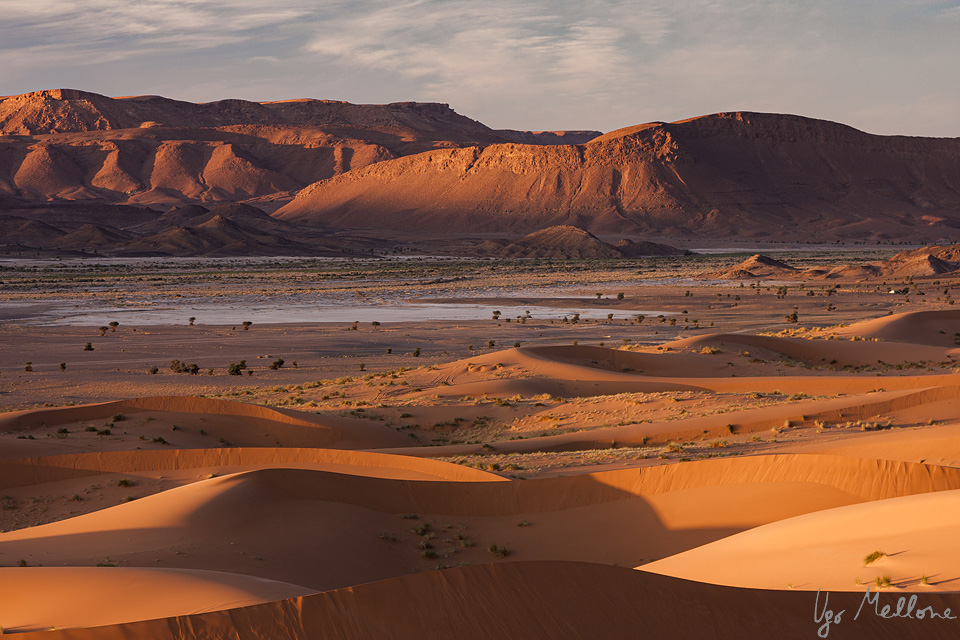 MelloneUgo's tweet photo. 5/6 #BOUsci23 #Break3
This study highlights again the importance of the Sahara Desert as a rich and diverse ecosystem in which migrating species from Europe spend a short but important part of their life cycle https://t.co/9FLwkkecmJ