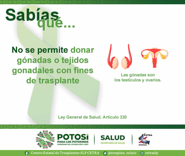 trasplan_snluis's tweet photo. Los trasplantes de órganos, tejidos y células podrán llevarse a cabo cuando los resultados de las investigaciones realizadas al efecto, representen un riesgo aceptable para la salud y la vida del donante y del receptor. 
Está prohibido el trasplante de gónadas o tejidos gonadales https://t.co/TPrBwm9Nur
