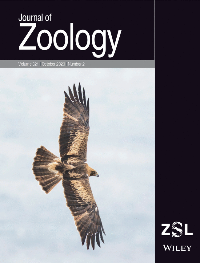 MelloneUgo's tweet photo. 6/6 #BOUsci23 #Break3
This project has been carried out in collaboration with @SEO_BirdLife. More details can be found on the paper published by @JZoology, which has been featured on the cover, too
https://t.co/3tQoCmMOgy https://t.co/NUioEPM1iy