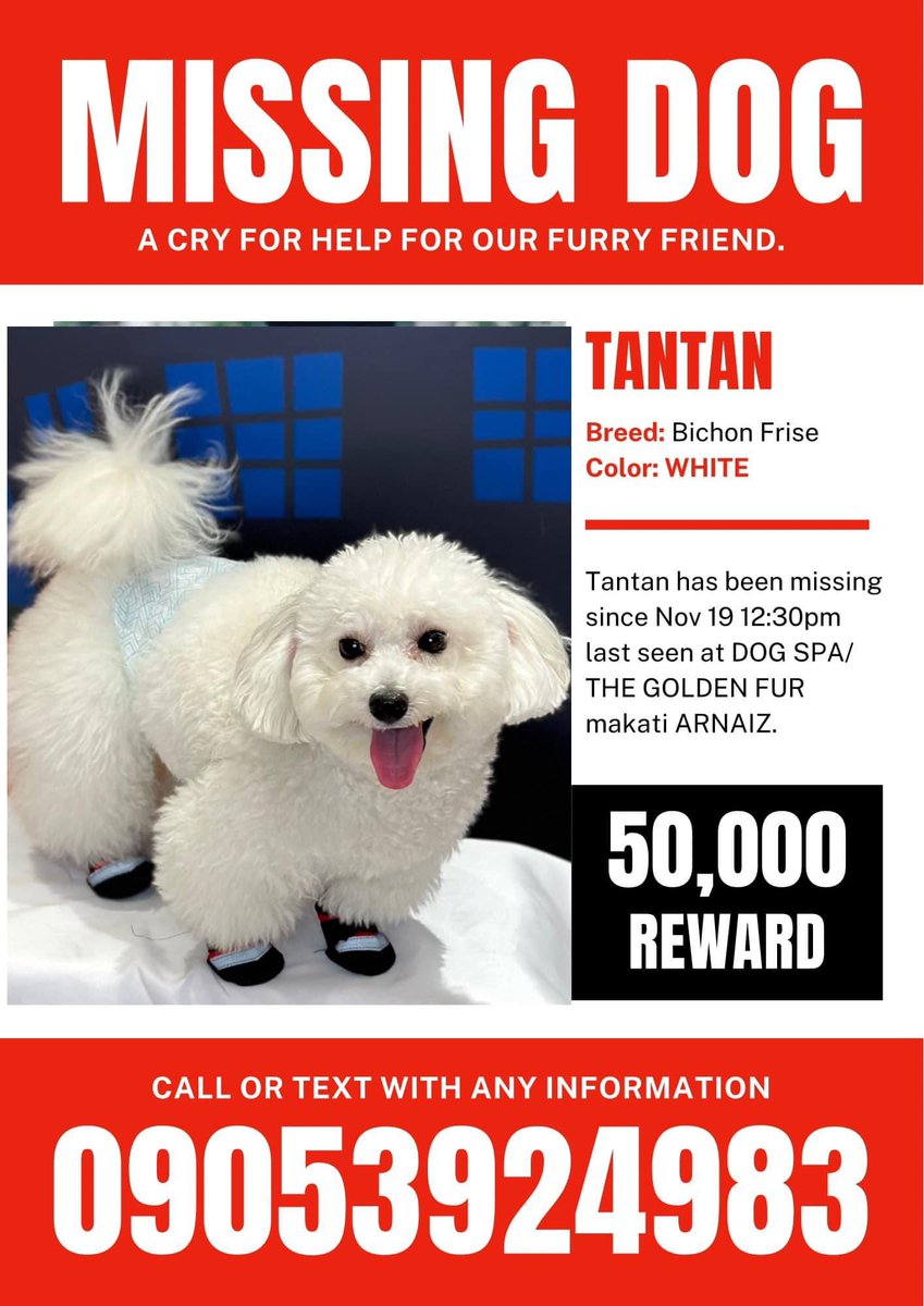itsmianu's tweet photo. Praying for Tantan :( can’t imagine what the owner is feeling huhu 🥺🙏🏻 https://t.co/xWubwse0lS