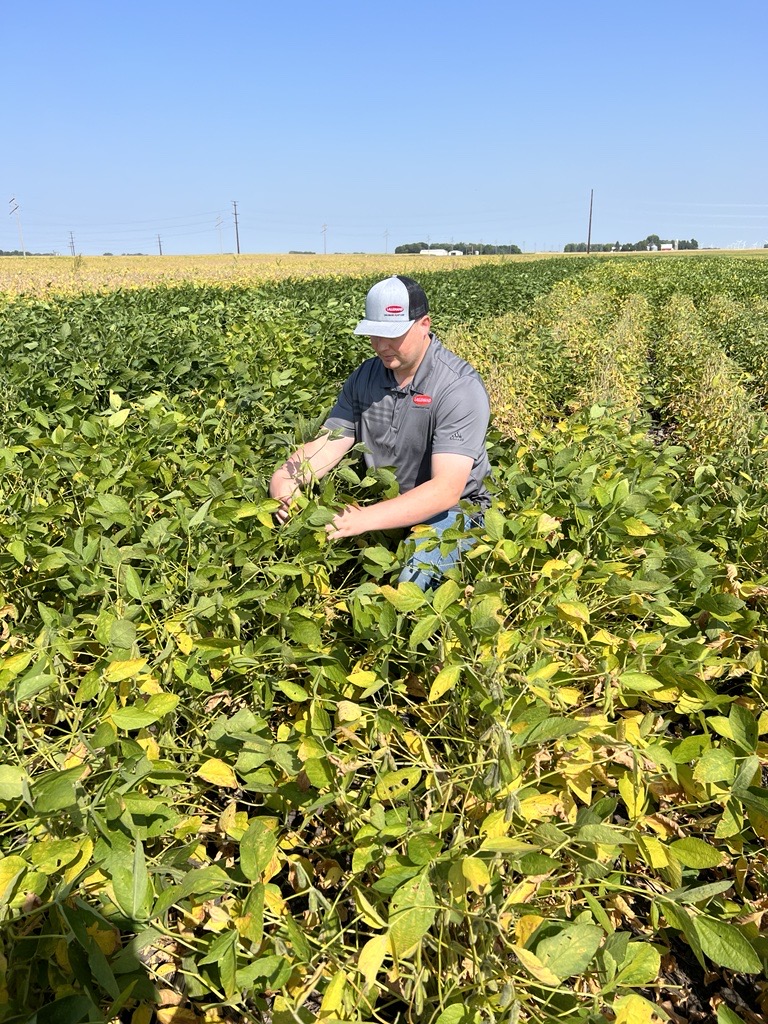 🌱 Matt Pfarr, Field Solutions Manager, evaluates soybeans near Jackson, MN.  These plots were conducted by the Independent Professional Seed Association. Excited to share the performance of Lallemand Plant Care’s technology! 🤗 #Soybeans #Agriculture #FieldEvaluation #PlantCare
