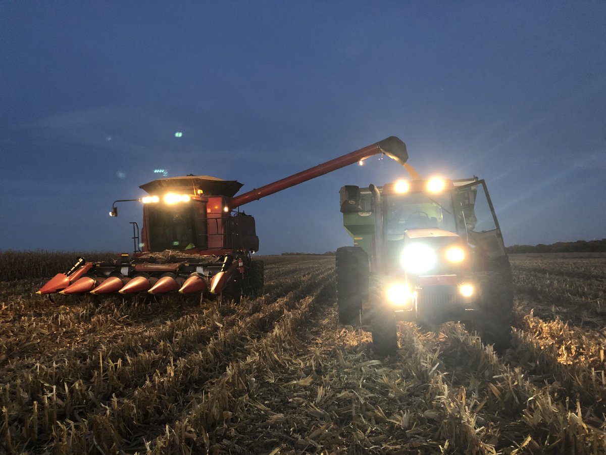 Eileen_Schnabel's tweet photo. 🌙 Tractor lights in the heartland, harvesting with my Dad—I'm grateful for my Midwest roots. As I write stories that transport kids through time, I'm reminded that the best adventures begin with family and hard work. 🚜📚 #MidwestWriter #HarvestSeason #WritingJourney https://t.co/XRBvNxlwVj