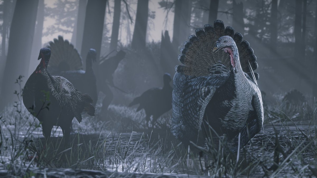 Rockstar Games tweet media