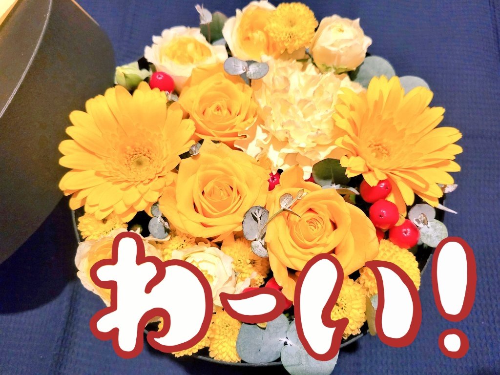 うろこ tweet media