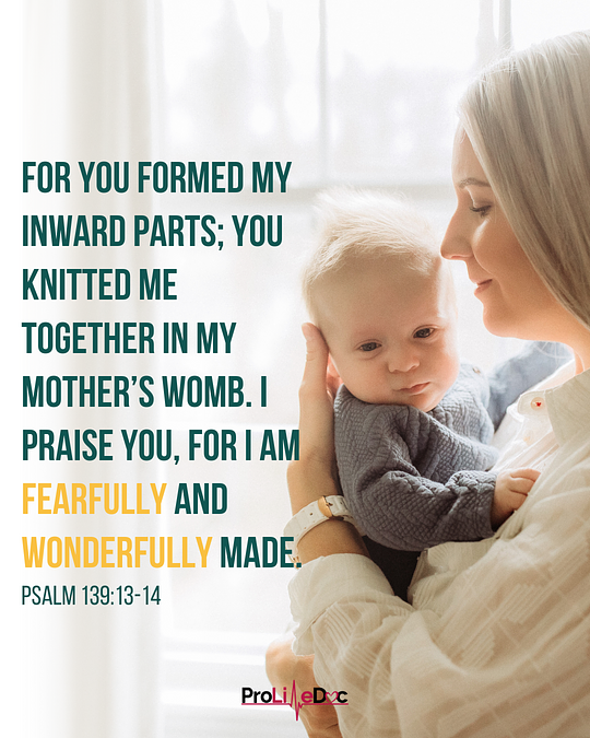william_lile's tweet photo. ALL life is fearfully and wonderfully made by God and deserves to be protected!
If you agree, comment "AMEN" below!
#prolifeforlife #crisispregnancy #abortionpillreversal #chooselife #speaklife #abortion #prochoice #prolifegen #abortionismurder https://t.co/ObelXoBNKG