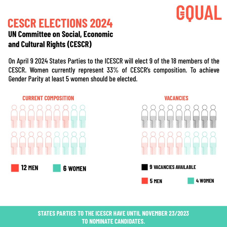 @GqualCampaign @GIESCR 🟣Currently, women represent only 3️⃣3️⃣% of the #CESCR and have never been equally part of the membership.

States Parties to the ICESCR and the ECOSOC have an unprecedented opportunity to #ChangeThisPicture and strengthen the Committee’s function, impact and legitimacy.