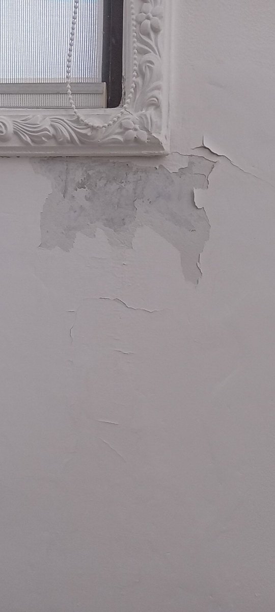 LenigVelkan's tweet photo. Problemas de salitre en tus paredes, contacte te puedo ayudar con trabajos de tratamiento y reparación de espacios estructurales dañados por el mismo , en poco tiempo con poca inversión recupera tus paredes y en belleza tus espacios otra vez https://t.co/NbYOSQoLQV