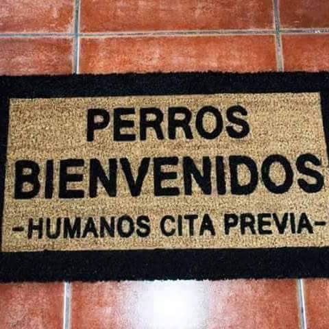 Perrosenlacalle's tweet photo. Quiero un tapete así en la entrada de mi casa, y tu? https://t.co/Ll5NfDPTJU