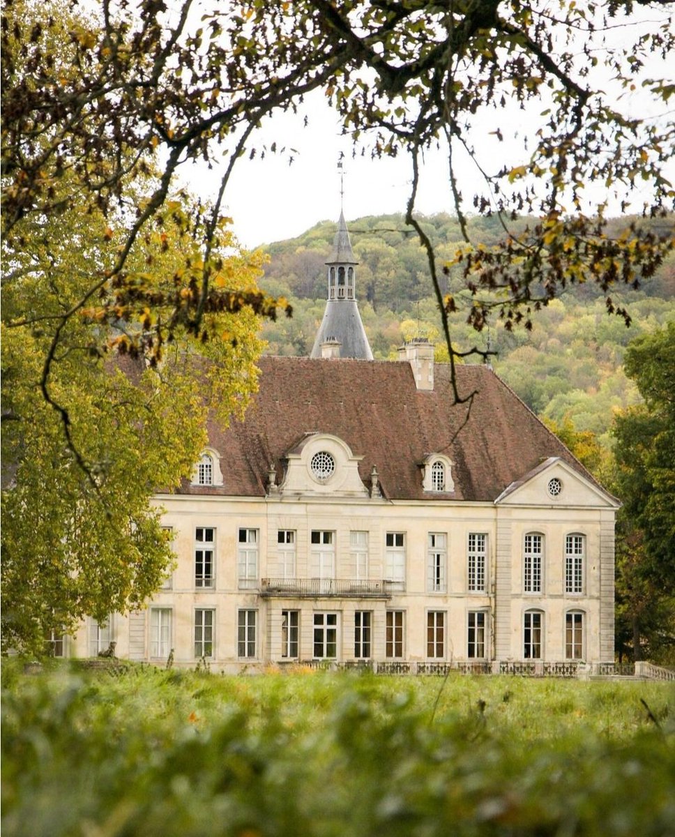 🔴 𝗩𝗜𝗡𝗖𝗘𝗡𝗢𝗧 🐌 | Le 21 novembre 1985, Henri Vincenot rend son dernier souffle. Élevé par ses grands-parents, il tombe amoureux de sa #Bourgogne natale où il revient retraité. À Commarin, il se rappelle les balades de son enfance ! 📖 #CeJourLa ©️ carmen_nita