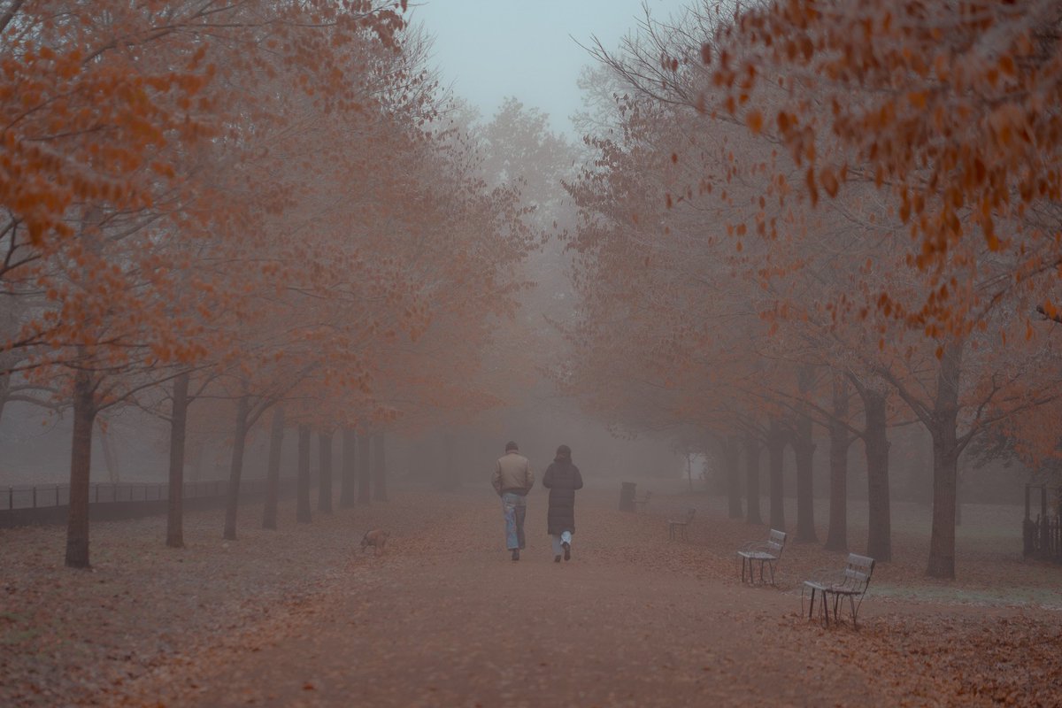 rory murphy 📸 tweet media