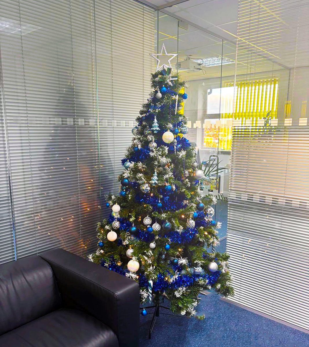 EitexUK's tweet photo. We've officially thrown ourselves into the Great Xmas Tree Debate: When is it socially acceptable to unleash the festive madness?

We've put the office tree up. Are you Team November or Team December?

Let the jingle bells and hashtag battles begin! #TreeWars #FestiveFunnies https://t.co/CdbpFsahDs