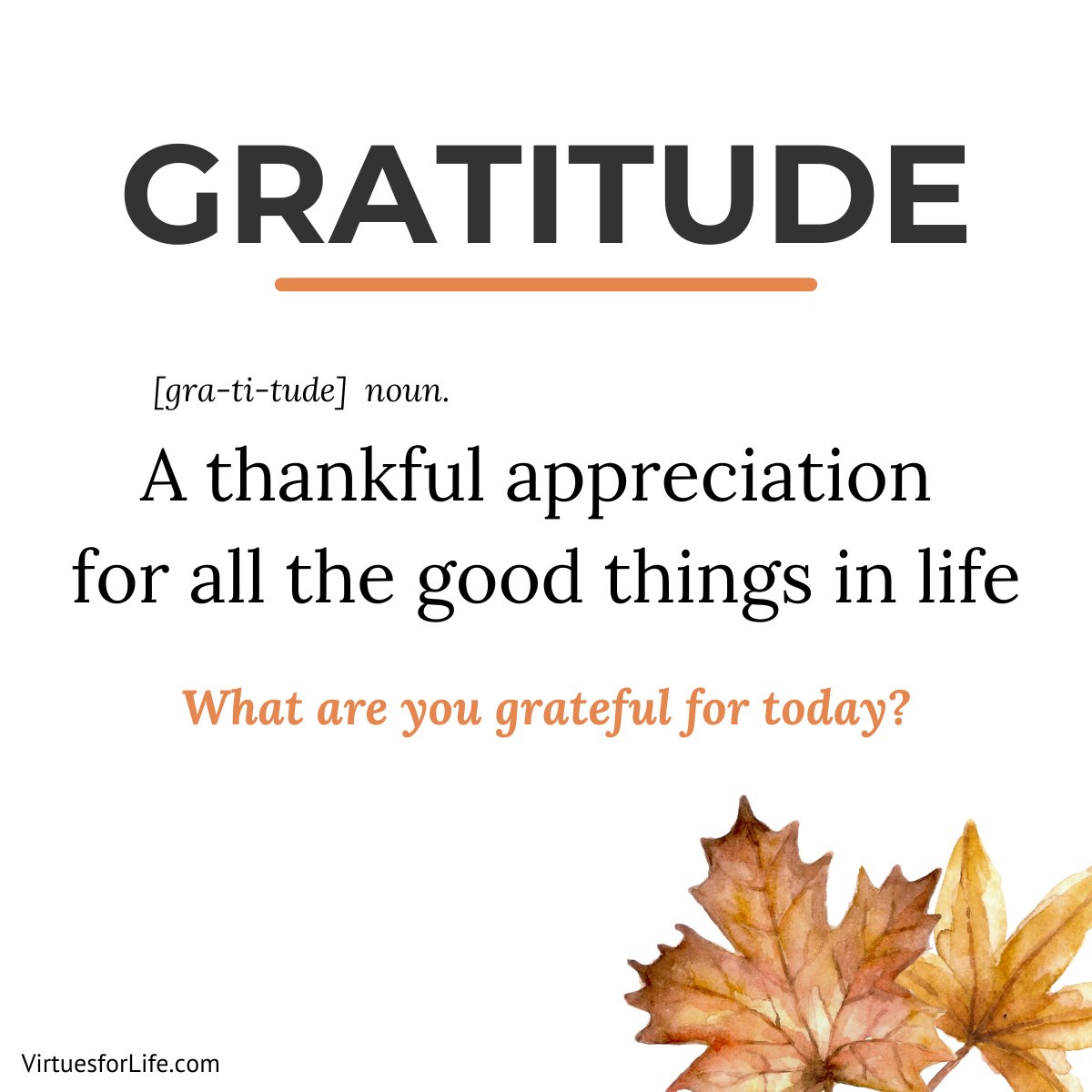 Gratitude is a thankful appreciation for all the good things in life, from nature's beauty to the love of family and friends. Focusing on what we have rather than what we lack can make us feel happier by reducing our wants and worries.

What are you grateful for today?