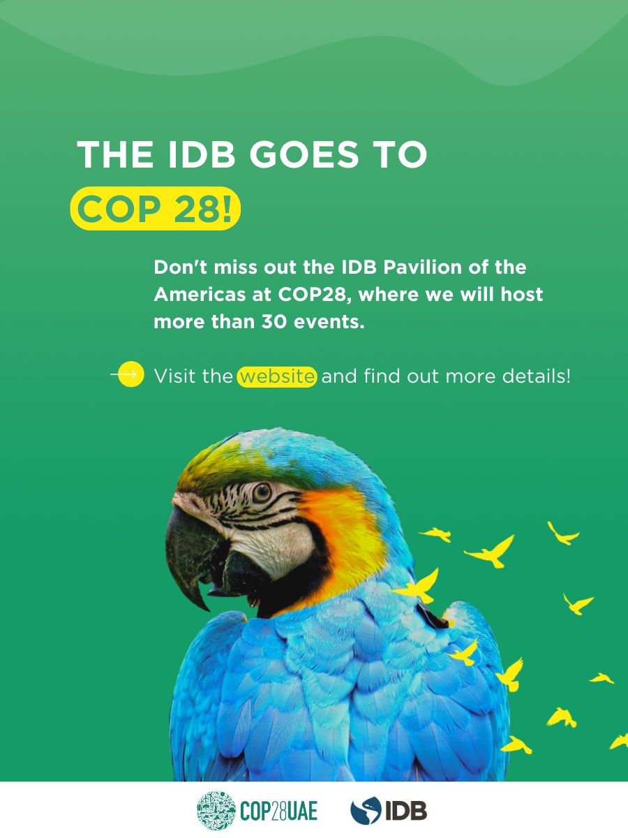 the_IDB's tweet photo. 🌱🌎We are going to #COP28!
From Nov 30-Dec 12 join us at the Pavilion of the Americas where we'll be hosting +30 events to discuss #ClimateFinance, innovative financial instruments, #NatureConservation, the #AmazonRegion, and more.
Visit our website for more details, and stay tuned, as this is just the beginning: https://t.co/rGFKCpnQU6
#COP28UAE #ClimateChange