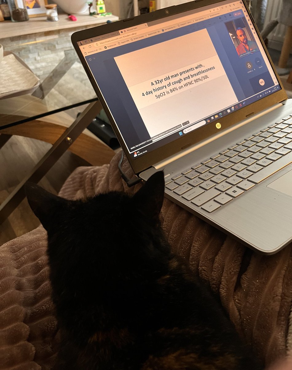 Laura Croan tweet media