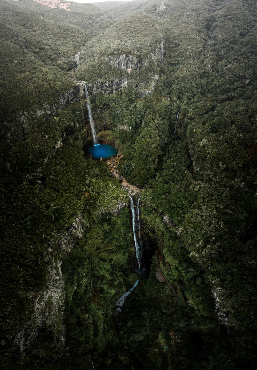 manfredteh's tweet photo. photos I took in Madeira https://t.co/jPpiaHv9GH