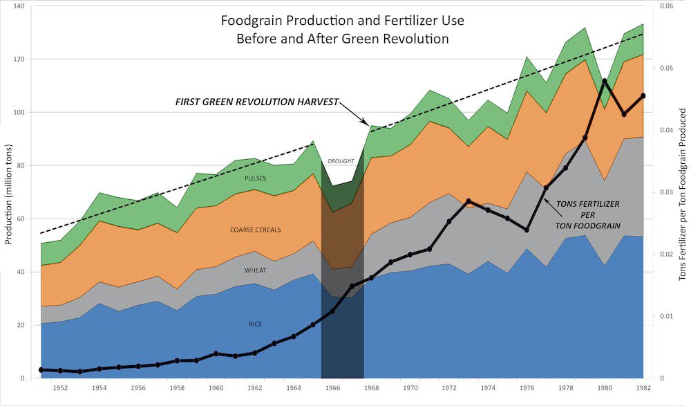 Contrary to popular belief, the green revolution didn’t increase India’s food production beyond the pre-revolution levels. 

Despite an increase in hybrid wheat harvests, net grain production grew at the same rate as before. 

A big factor was the displacement of native rice