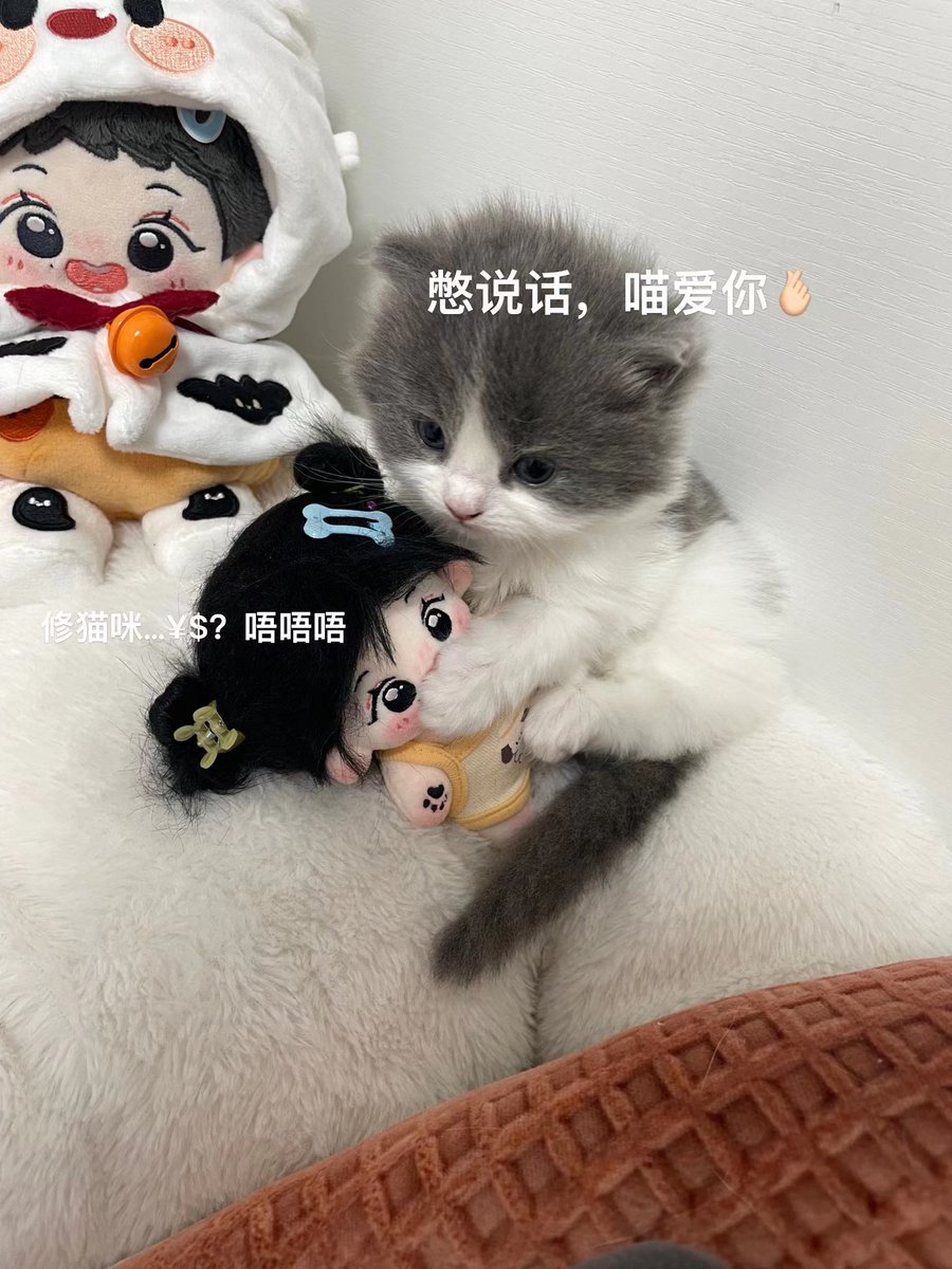 大凹 tweet media