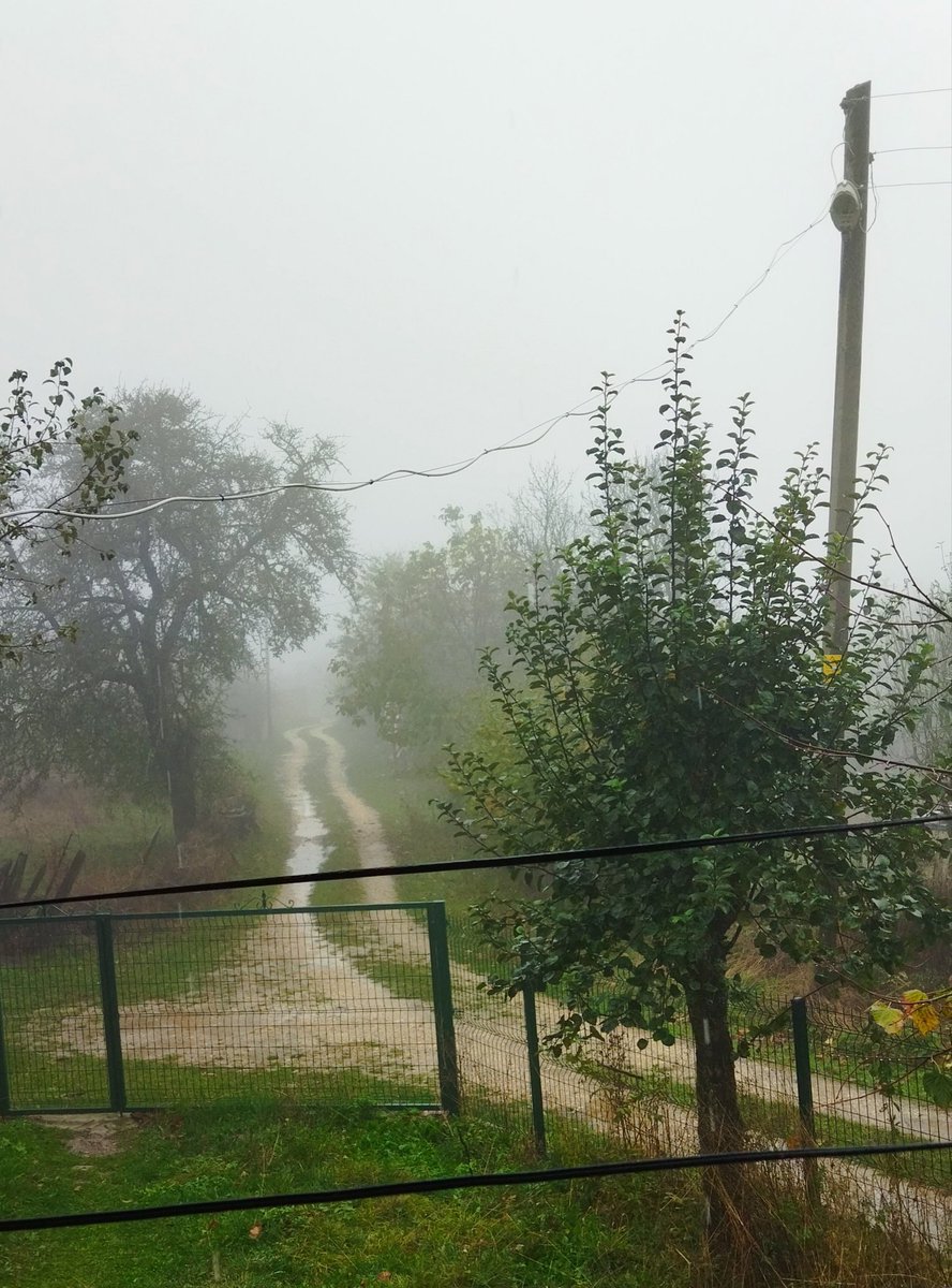 Sümbüllü serçeli bağa boran..

youtu.be/zBMK0kSPxLc?si…