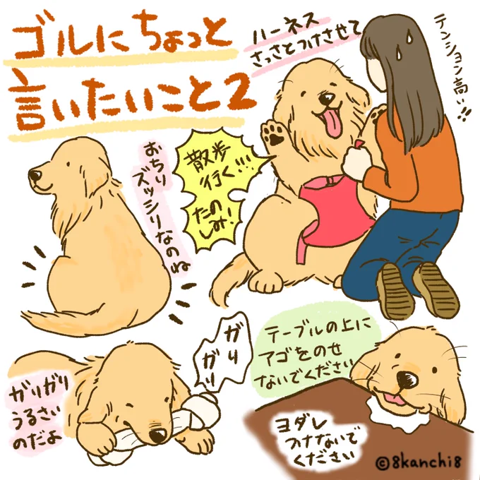 ゴルにちょっと言いたいこと2

#ゴールデンレトリバー
#犬のイラスト 