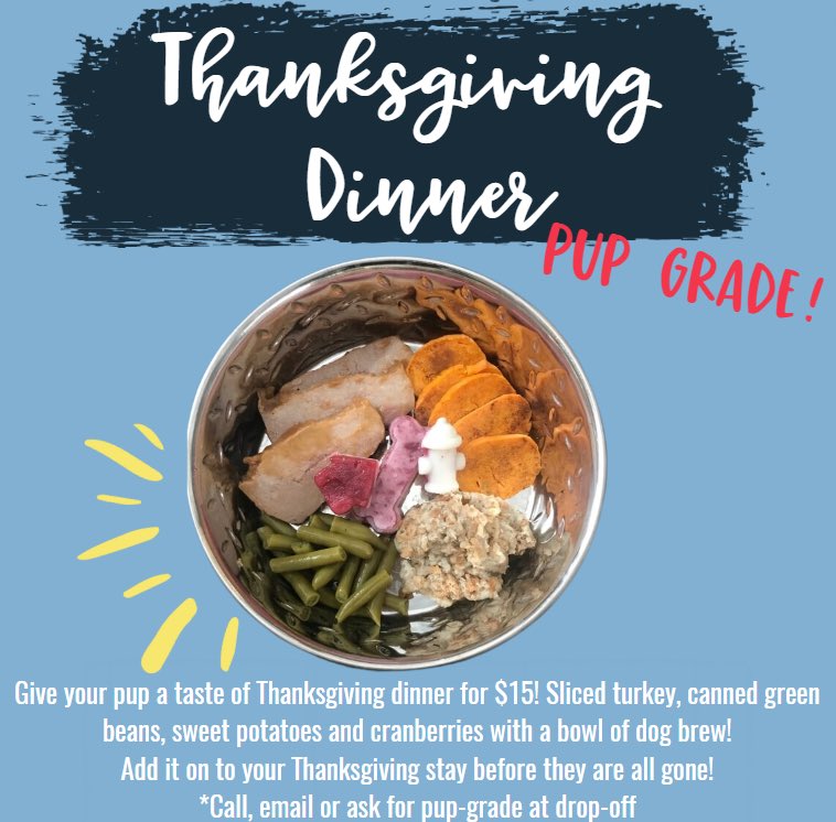 Thanksgiving dinner PUP-GRADE! 🦃 Give your dog the gift of food this Thanksgiving at Camp. Request at drop off. Limited supply!