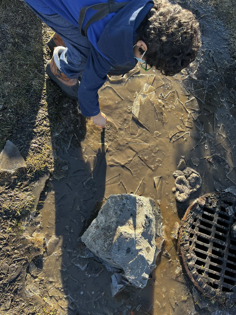 Ms. Jaime Lynn Sopka tweet media