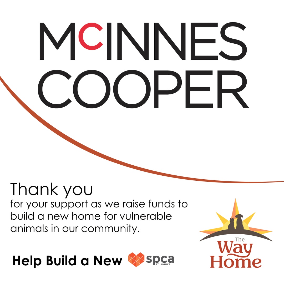 TheWayHomeSpca's tweet photo. Thank you, McInnes Cooper, for your donation to the Way Home Campaign! Your contribution means the world as we build a new SPCA!

https://t.co/DmzYP56EBc 

#TheWayHome #SupportSPCA https://t.co/Xvmz36mdmd