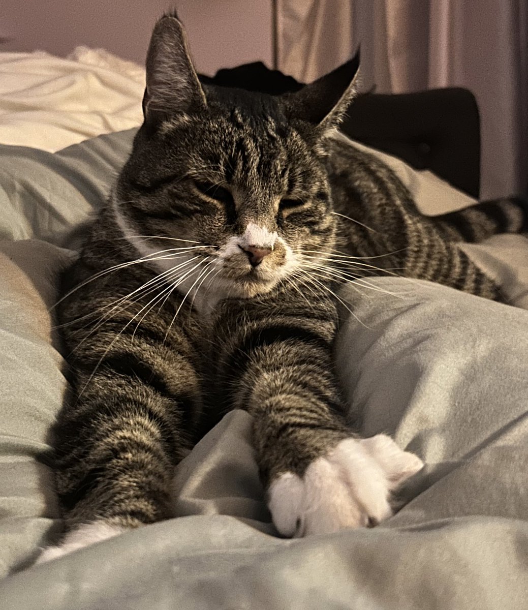 ༶ ‍‎ ‎ ┊ ‍‎ 𝒾͟𝗋͟𝗎𝓴𝐚. ‍‎ tweet media