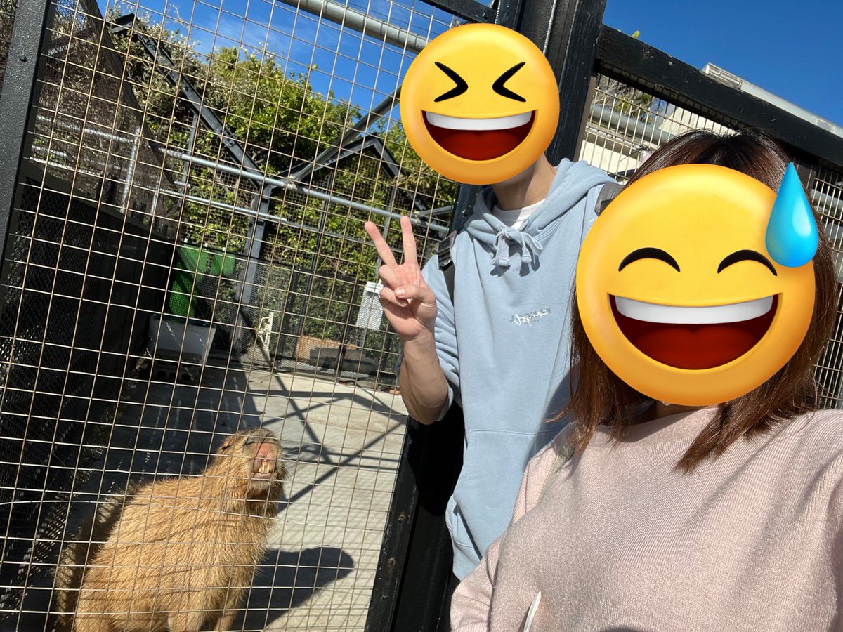 urarin324's tweet photo. 彼女の誕生日旅行in千葉 https://t.co/uDD4NanCHd