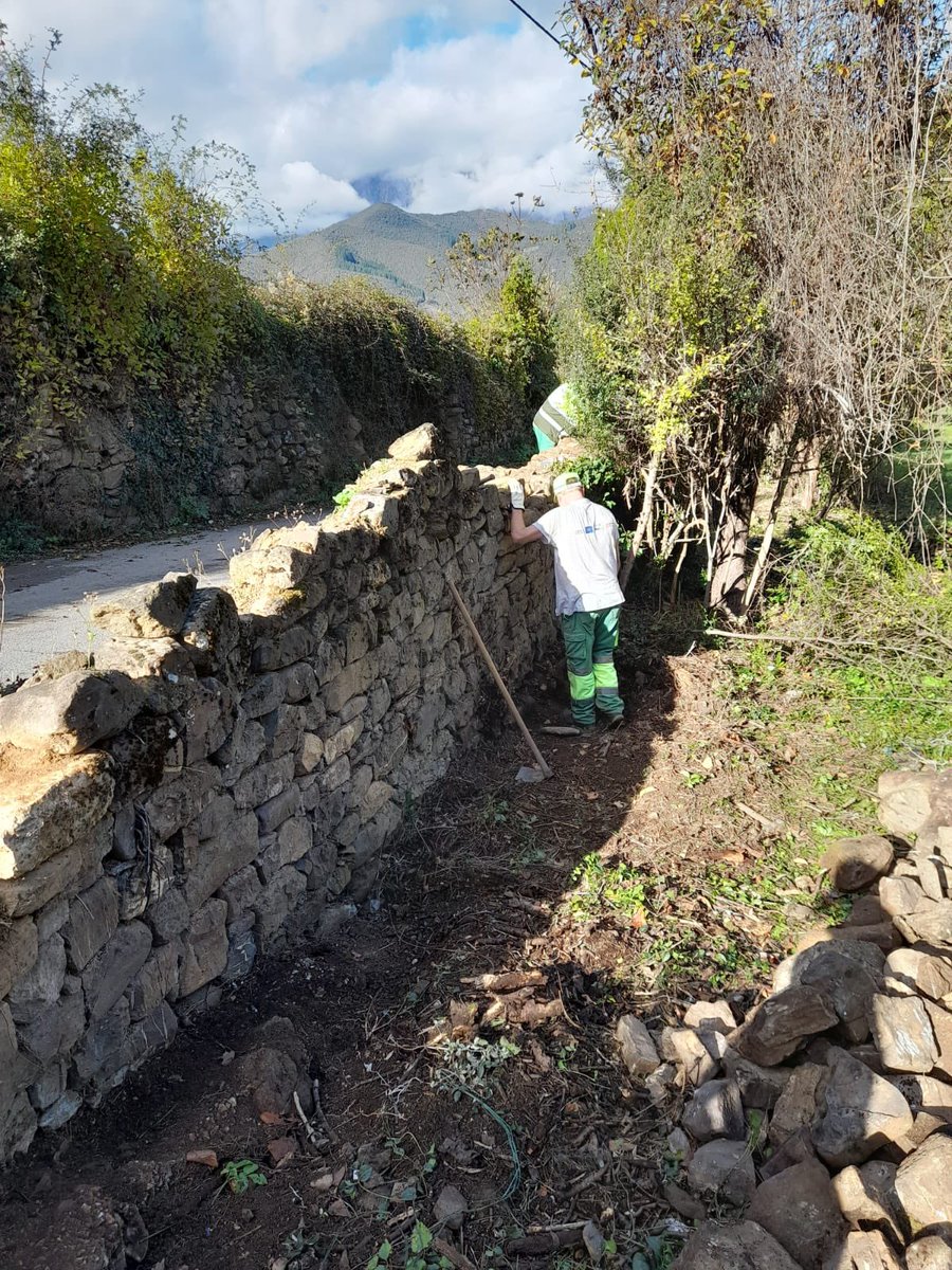StepsforLIFE2's tweet photo. Seguimos con las actuaciones de conservación y creación y refuerzo de stepping stones para la fauna del #caminolebaniego y su transformación en Infraestructura Verde 🪲🦋🦇🐗🐦‍⬛Gracias a la cuadrilla de Amica que ha realizado estos trabajos 🫶🏼 #lifeprogramme https://t.co/OGZNtCKqiS
