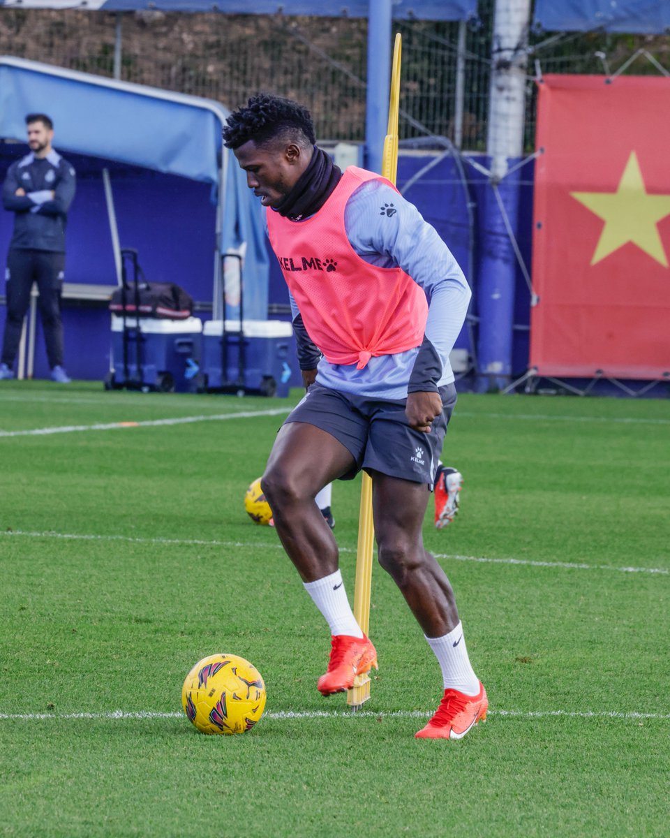 RCD Espanyol de Barcelona tweet media