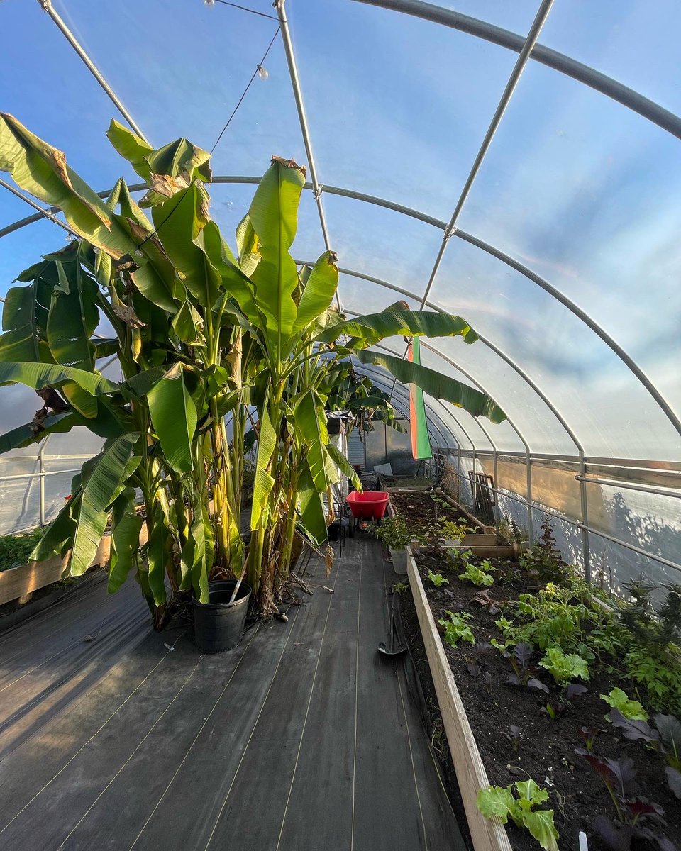 Facing Project tweet media