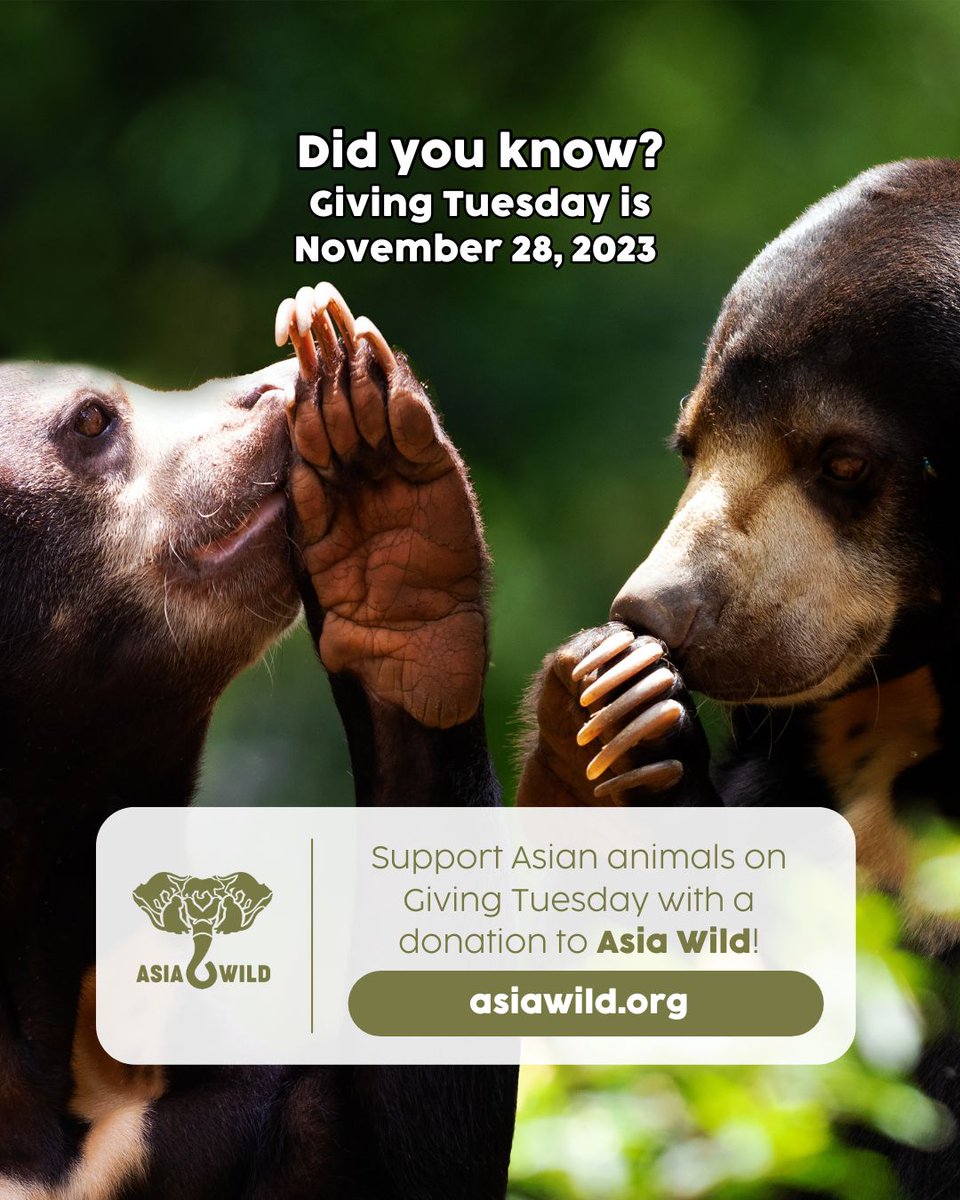 asiawildorg's tweet photo. With #GivingTuesday approaching, we invite you to help #SupportAsianAnimals with a donation to #AsiaWild! Give early at https://t.co/hLGvxXM7DC πΎ
#ConservationNonprofit #WildlifeConservation #WildlifePreservation #EndangeredSpecies #SupportWildlife #DonateNow https://t.co/4r4BqcJZmu