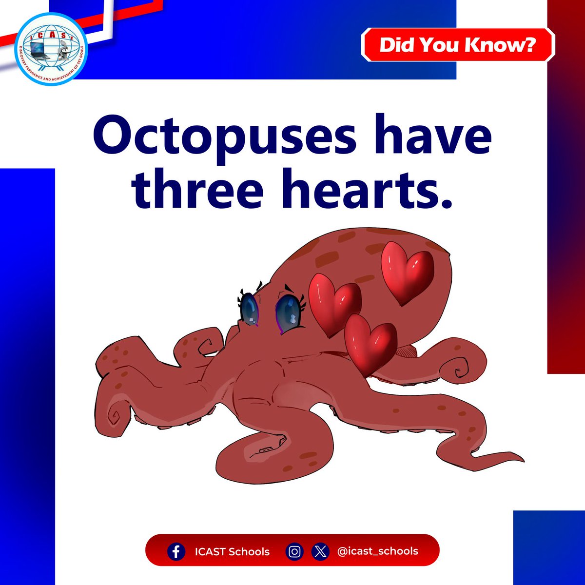 icast_schools's tweet photo. Two of the hearts pump blood to the gills, while the third heart pumps blood to the rest of the body. https://t.co/Uln1KXEoSa