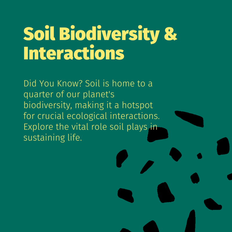 BcomingEU's tweet photo. Thanks for joining us this past week in celebrating the importance of soils! 🌱💚

Join us one last time in highlighting the significance of healthy soils in preventing future pandemics and shaping the future of farming and agriculture.

#SoilAppreciation #InternationalSoilsDay