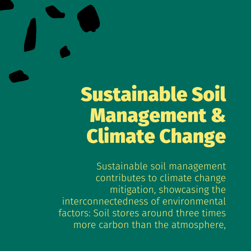 BcomingEU's tweet photo. Thanks for joining us this past week in celebrating the importance of soils! 🌱💚

Join us one last time in highlighting the significance of healthy soils in preventing future pandemics and shaping the future of farming and agriculture.

#SoilAppreciation #InternationalSoilsDay