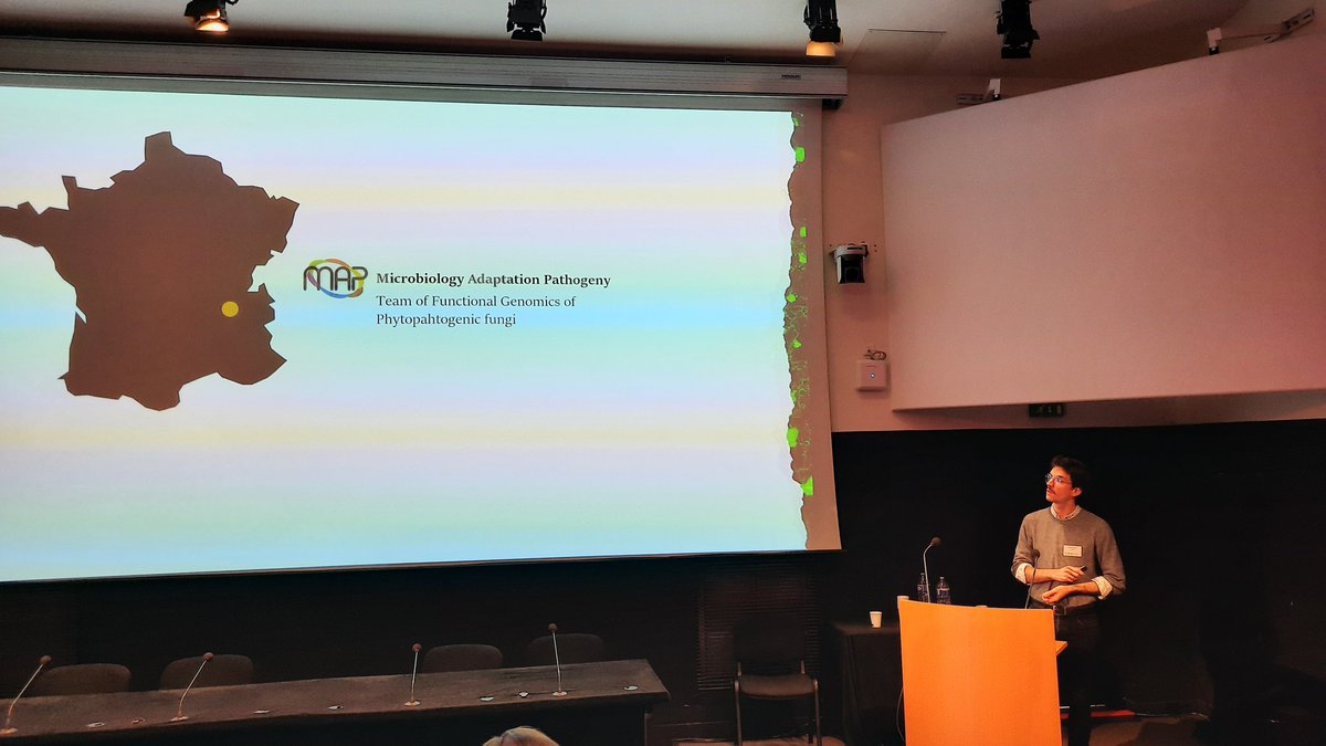 ifudal's tweet photo. #fungIdF Adrien Hamandjian coming from @UnivLyon1 talking about the Spitzenkorper of Botrytis cinerea. https://t.co/UDIjLx3rFd