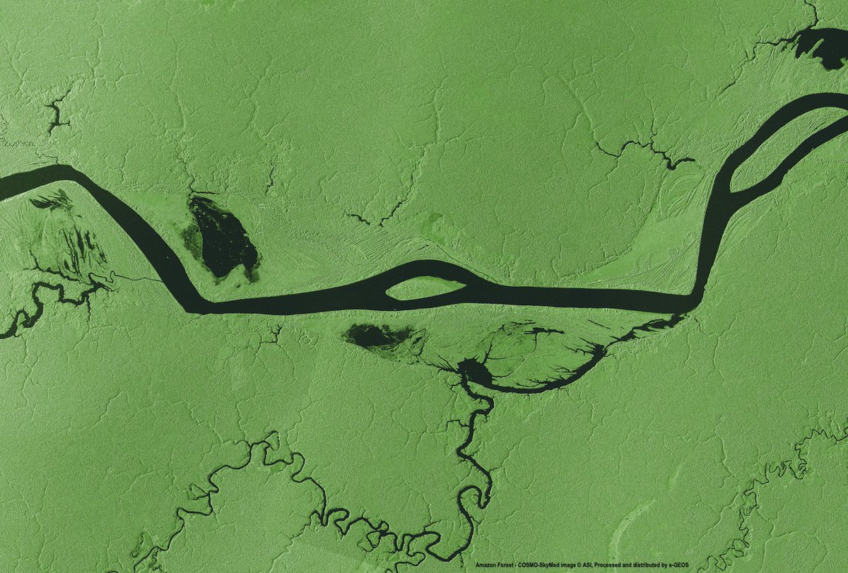 e_geos's tweet photo. 🌳❗Today, #e_GEOS celebrates #NationalTreesDay 2023 ❗With a a  view from the #COSMOSkyMed satellites of the #planet's largest tree home: the Amazon rainforest. 🌴🌳🌲🎋

👀 read more ℹ️ 👇🏻
https://t.co/2NVKYOTcJQ

#TreesDay #TreeDay #geoinformation #EarthObservation #Amazon https://t.co/STazcjl1VY