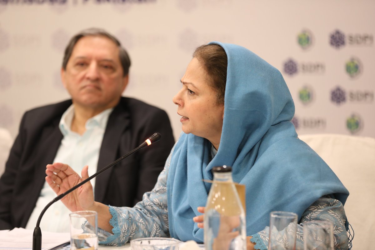 UNDP_Pakistan's tweet photo. (2/2) Hafiz Pasha @DrMusadikMalik @ShazaFK @IhsaanaKhan @Sen_TajHaider @SaleemMandvi @MianIftikharHus @AishaGPasha @asad_sayeed @rezabaqir @WBPakistanCD @haider_mehtab @AliKhizar @PlanComPakistan spoke on need for bipartisan policy consensus on econ reforms for next government. https://t.co/RHgnSOUZbf