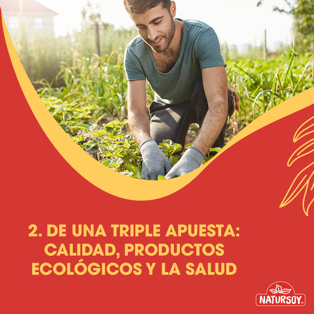 NATURSOY's tweet photo. ¡Todo lo que empieza bien, sigue muuuy bien! 🌱🍃 En Natursoy, nuestra esencia se encuentra en nuestras raíces. 🌳💚 ¡Únete a nuestra filosofía de vida saludable! https://t.co/KAAzq6tikE