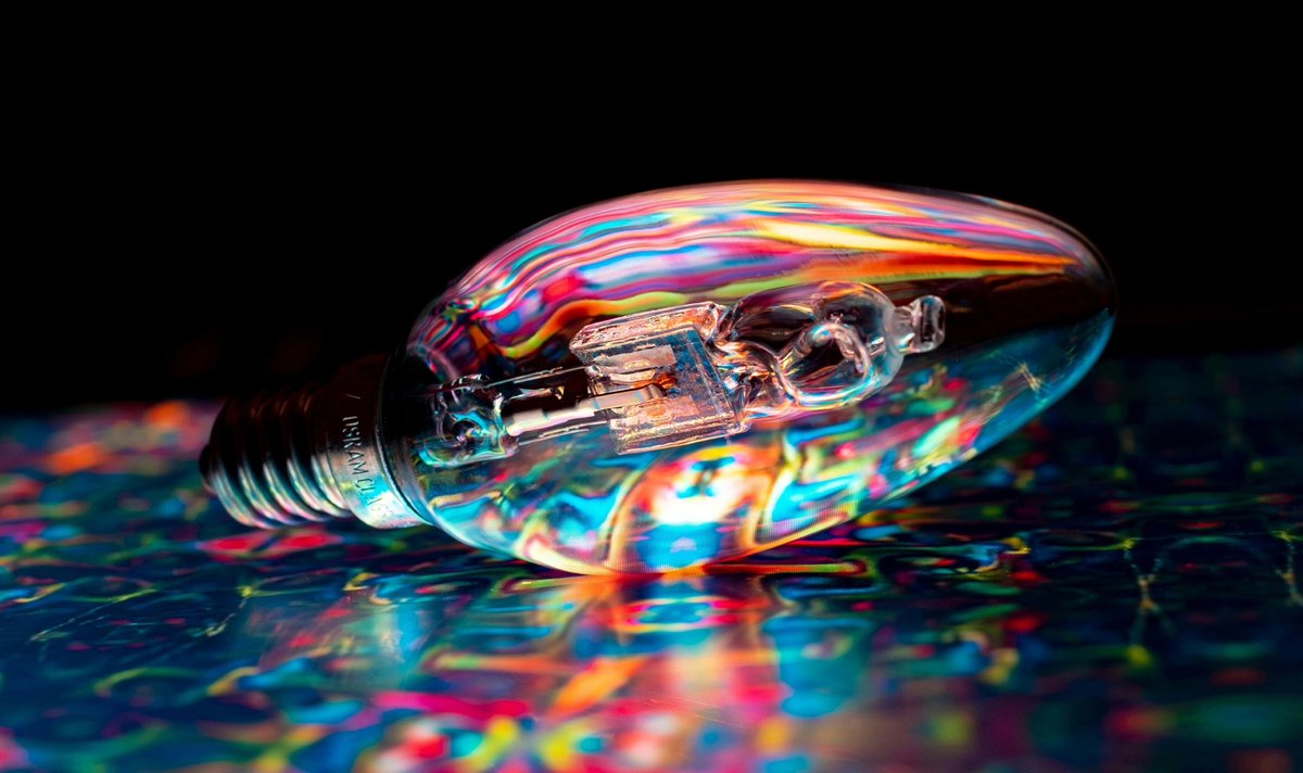 The Bridge tweet media