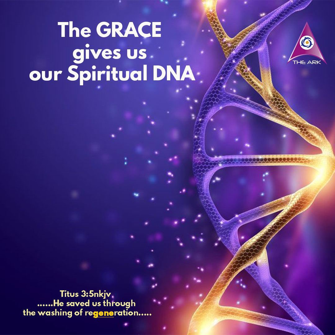 The GRACE gives us our Spiritual DNA.

Titus 3:5 
…He saved us through the washing of regeneration…