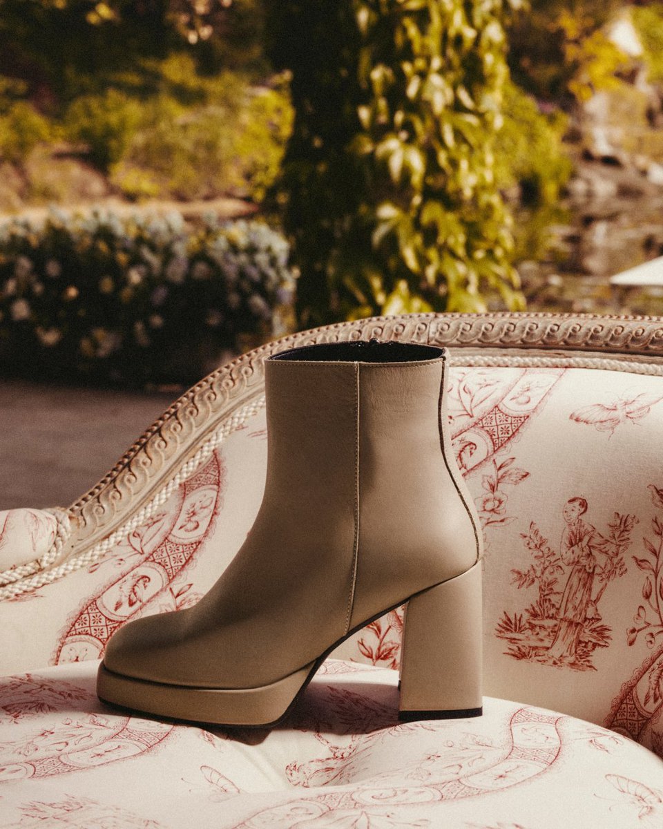 ottodame tweet media